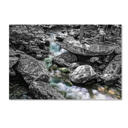 Trademark Fine Art Bob Rouse 'Jim Bales Rapids 2 Bw' Canvas Art, 22x32 ALI16338-C2232GG